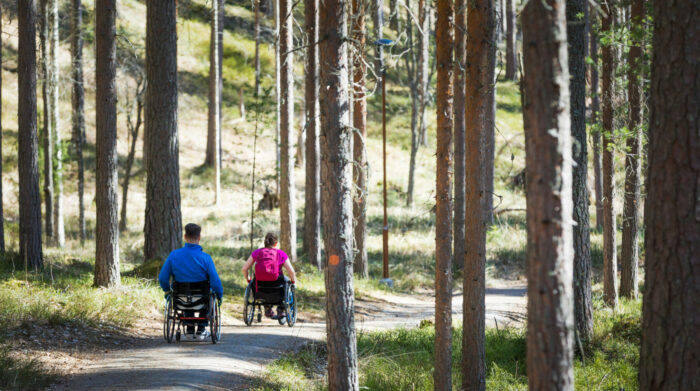 Deux personnes en fauteuil roulant se déplacent sur un chemin forestier par une journée ensoleillée.