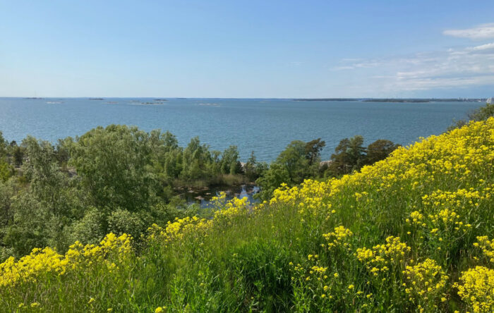 Em primeiro plano está uma colina verde com flores amarelas, enquanto ao fundo é um horizonte oceânico.