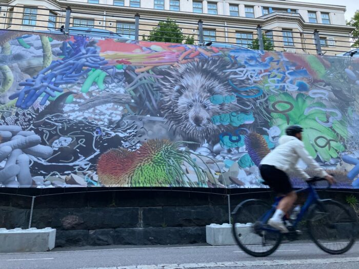 一个人骑车经过一幅长长的彩色图画，画上有动物、植物和其他图案。