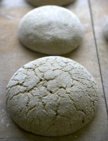Random cracks decorate the surface of several round loaves of bread dough that are rising on a wooden counter.
