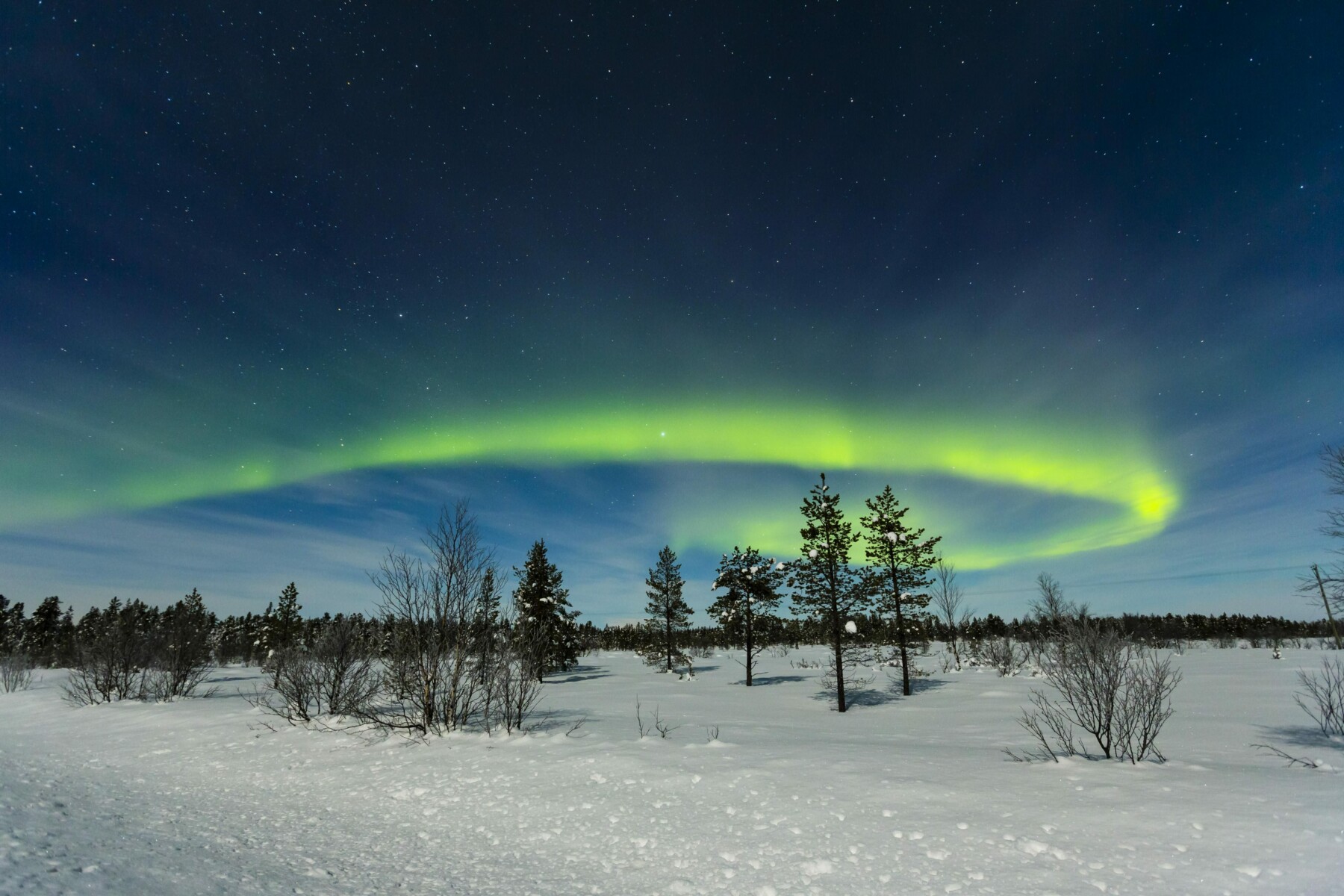 A green ring of light is visible in the dark sky over a snow-covered landscape.