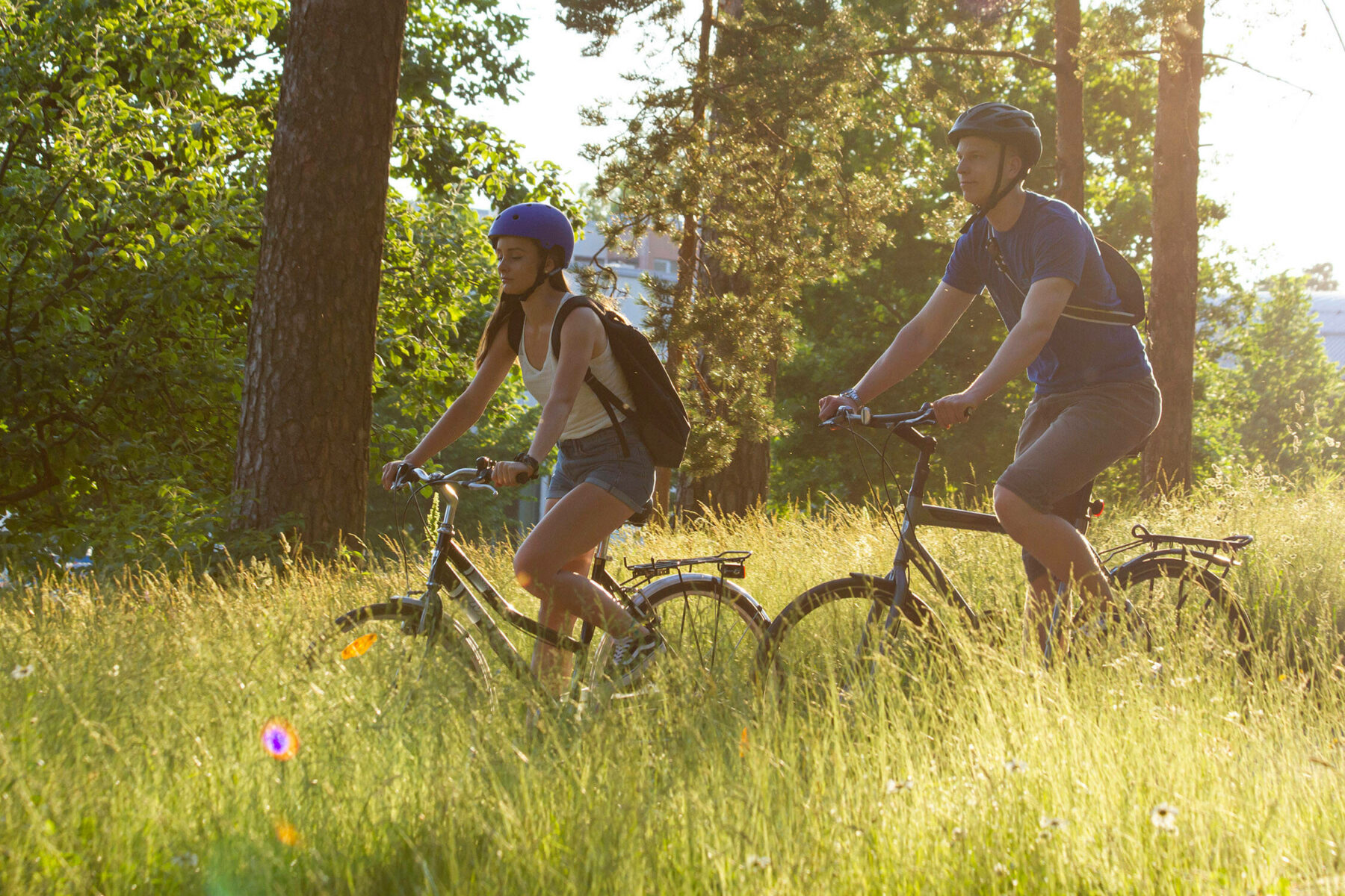 A woman and a man cycle through a park past trees and meadows on a sunny day.