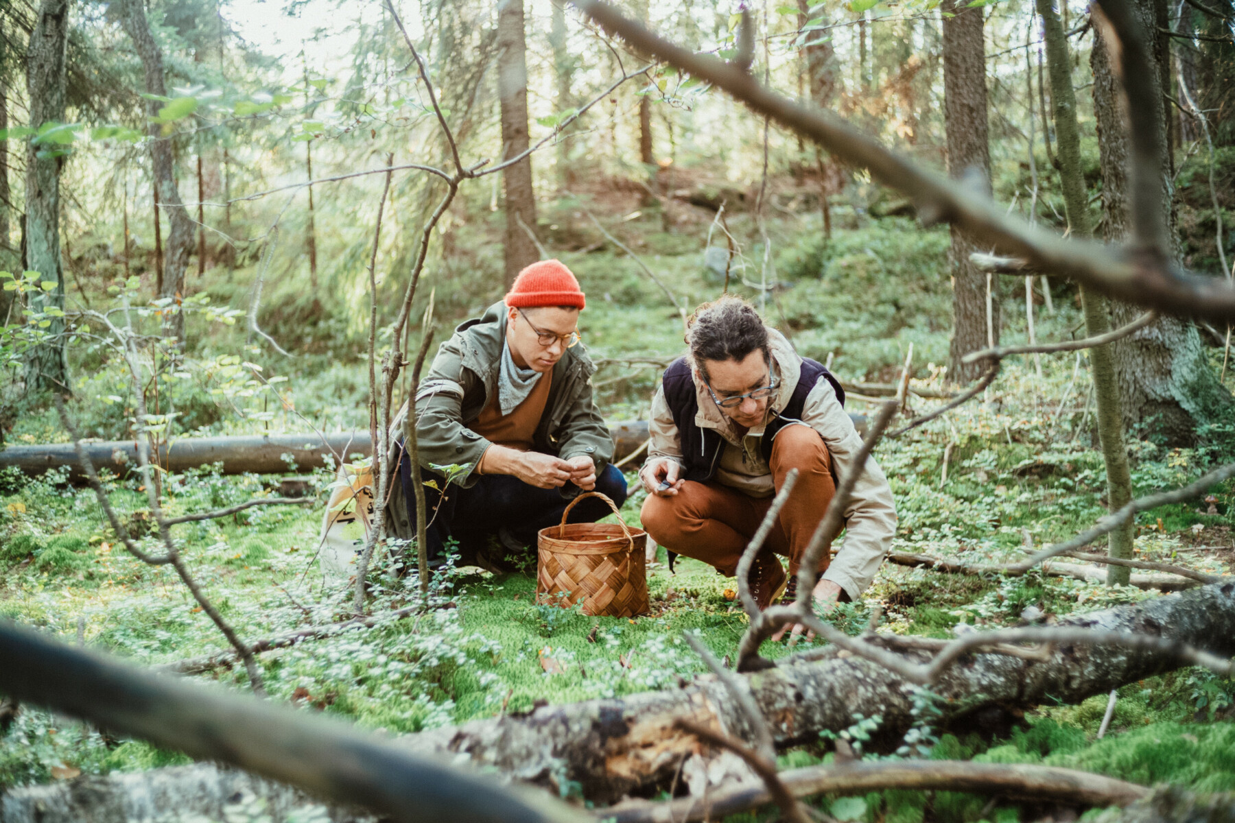 Zwei gebückte Männer mit einem Eimer neben sich sammeln in einem Wald Pilze.