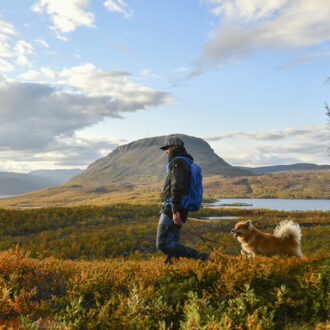 A person walking with a dog through an autumn landscape, with a mountain in the background.