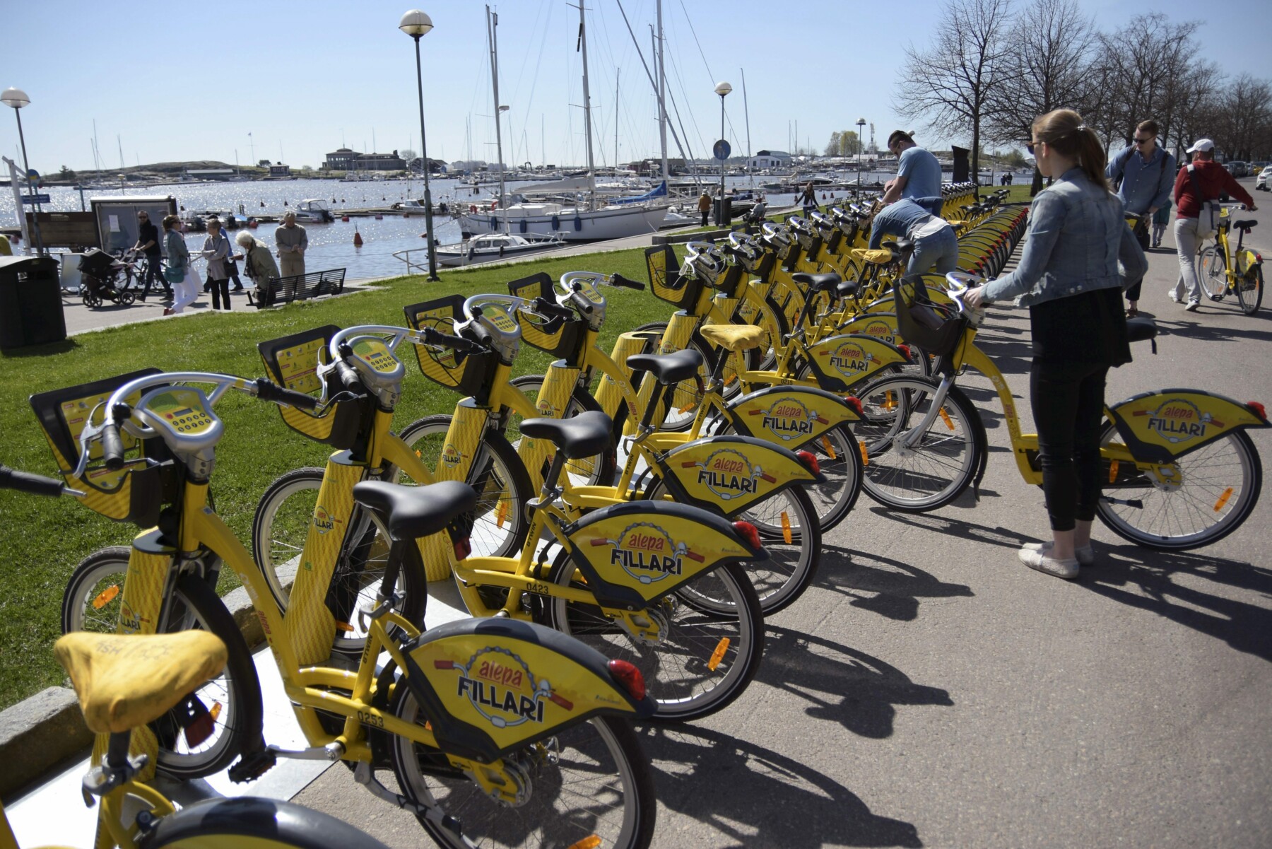 A woman pulls a bike from a row of bikes situated by a path near a scenic harbour.