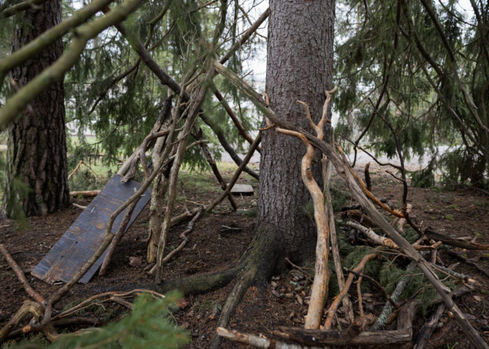 In a woodland area, a crude shelter made from branches leans against a tree.