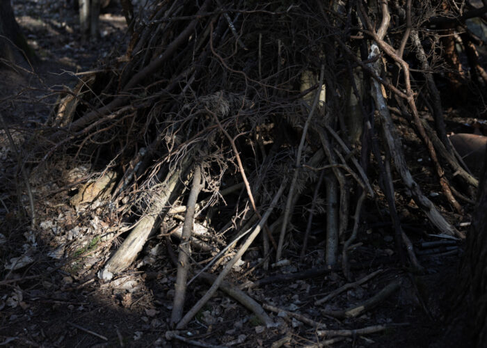 A crude shelter made from branches leans against a tree.