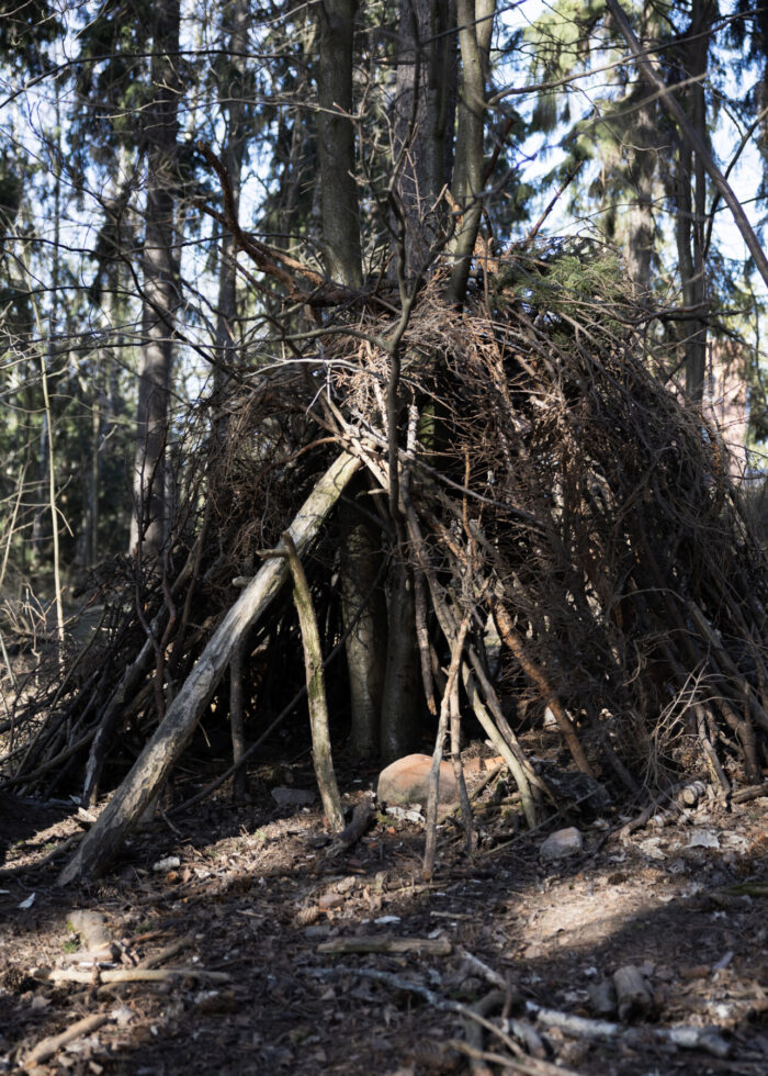 A crude shelter made from branches leans against a tree in a forest.