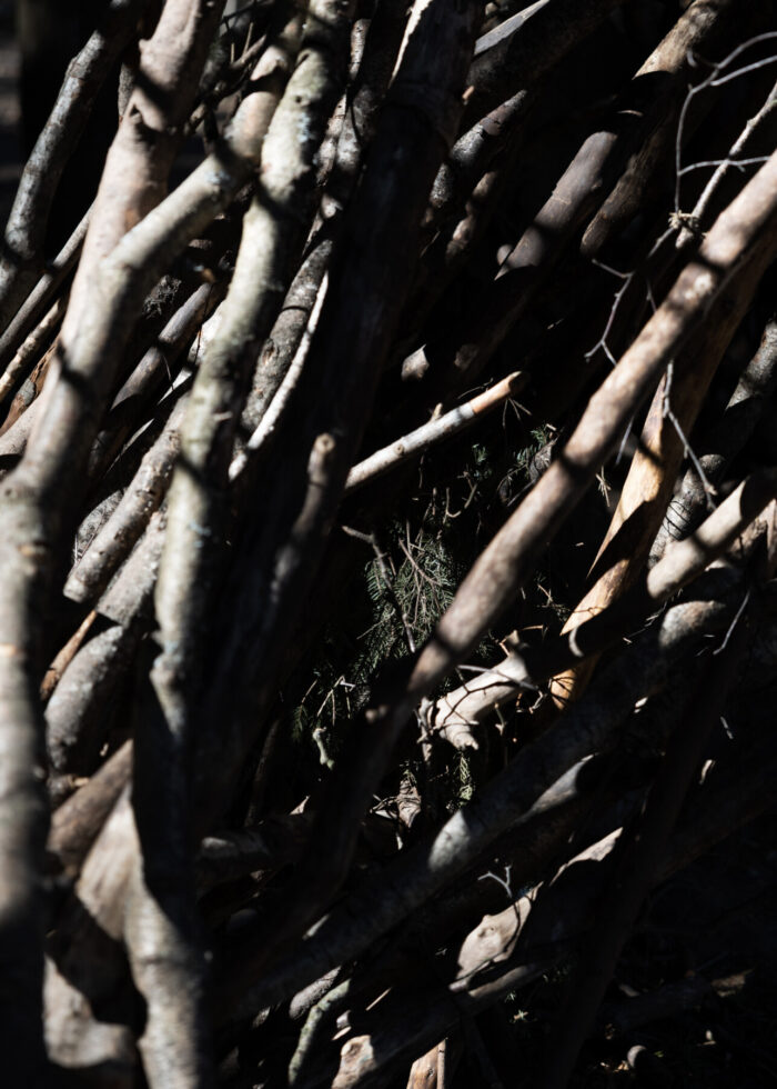 Shadows fall across a pile of branches and twigs.