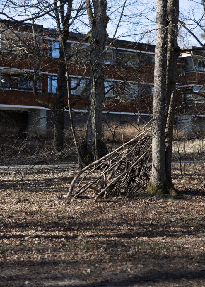 A crude shelter made from branches leans against a tree in a forest.