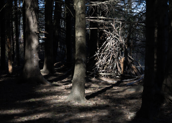 A crude shelter made from branches leans against a tree in a forest.