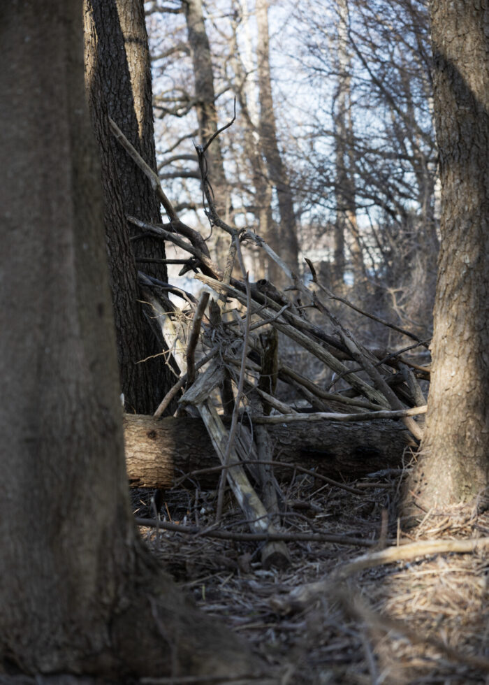 A crude shelter made from branches leans against a tree in a forest.