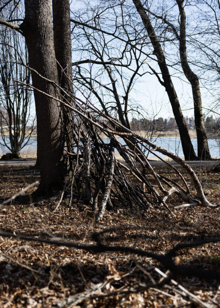 A crude shelter made from branches leans against a tree in a forest by the seashore.