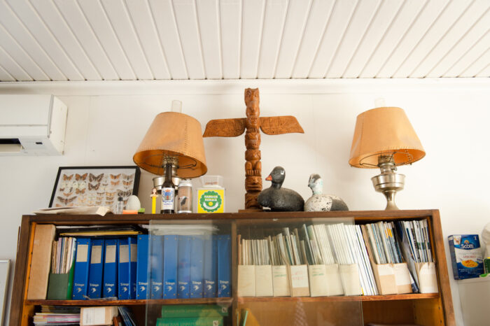 The top of a bookcase lined with binders and documents, adorned with two lamps, wooden duck figurines, a framed moth display and other small decorative items.