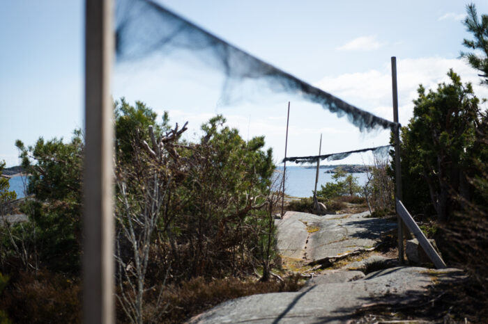 Bird observation nets hang from wooden poles set among low shrubs on a rocky outcrop.