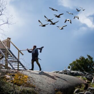 A man carrying an observation lens over one shoulder walks toward a wooden birdwatching station perched on a rocky outcrop, with a flock birds flying overhead.