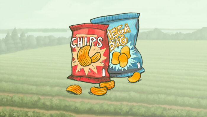 Cartoon-style illustration of two colorful potato chip bags, one red labeled “CHIPS” and one blue labeled “MEGA BAG,” surrounded by loose chips at the base.