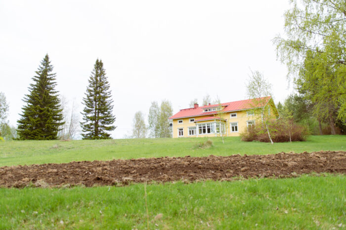 A yellow house sits atop a small hill, with a field of green grass in the foreground.