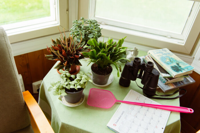 A table with houseplants, books, binoculars, a fly swatter and a calendar.