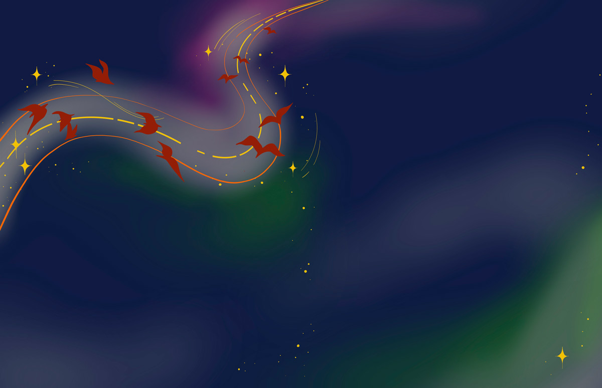 An illustration shows streaks of colour across a night sky and bird-like shapes that are following a wavy line across the picture.