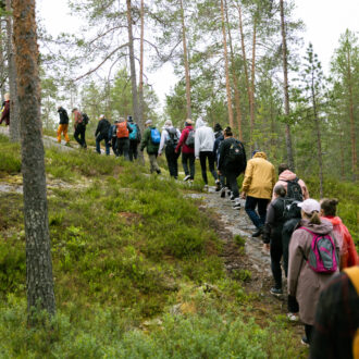A line of people follow a path up a green, forested hill.