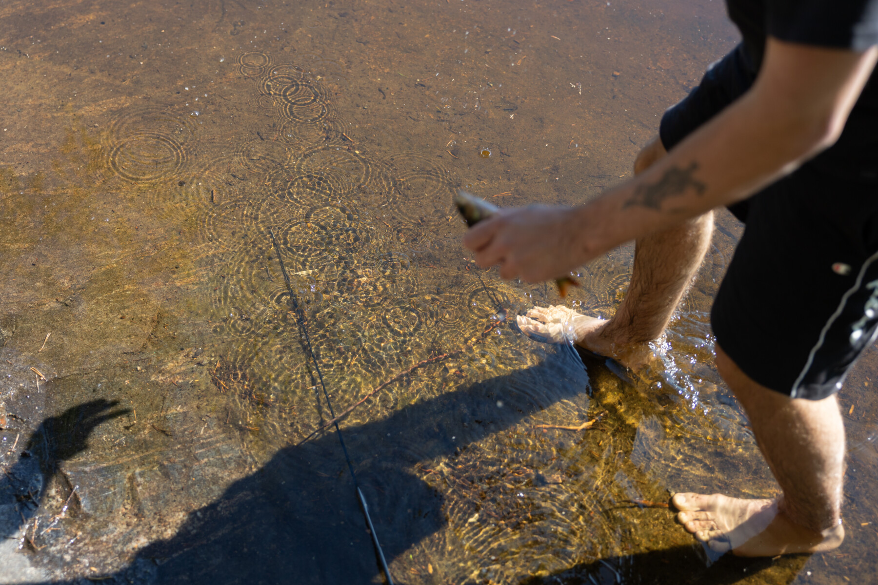 A man holds a small fish above clear shallow lake water.