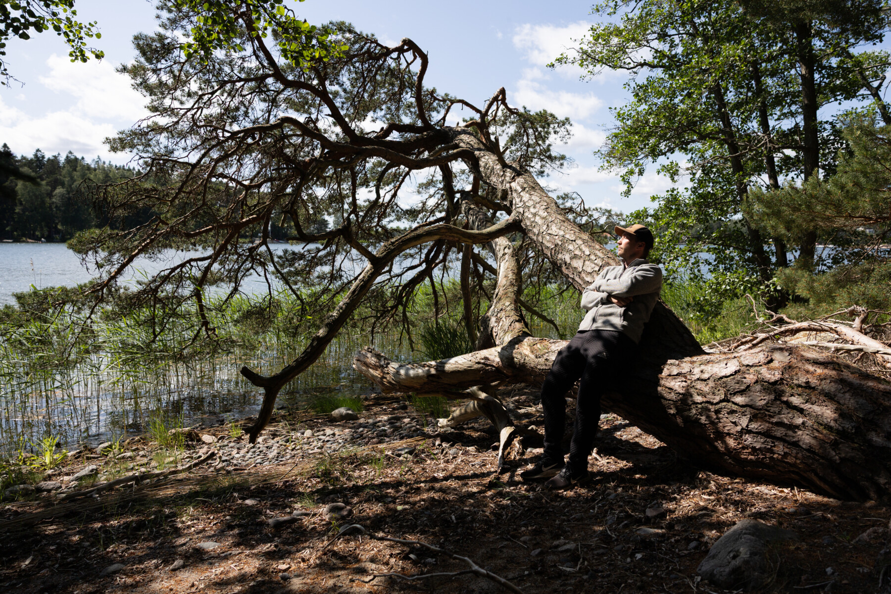 A man reclines against a pine tree beside a calm lake.