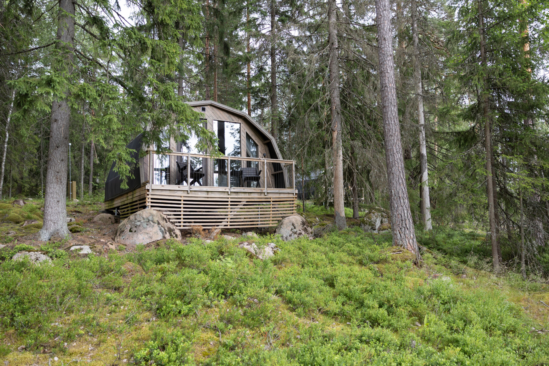 A modern wooden cabin with large windows stands on a forested slope among tall trees.