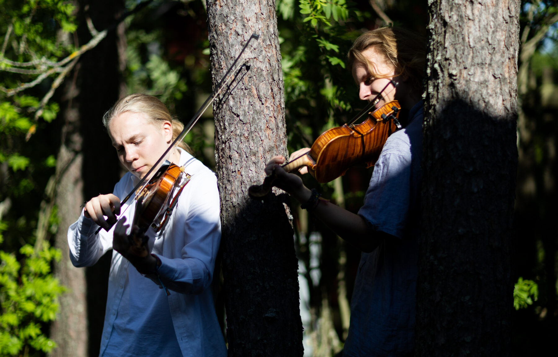 Two people play violins while standing beside trees.