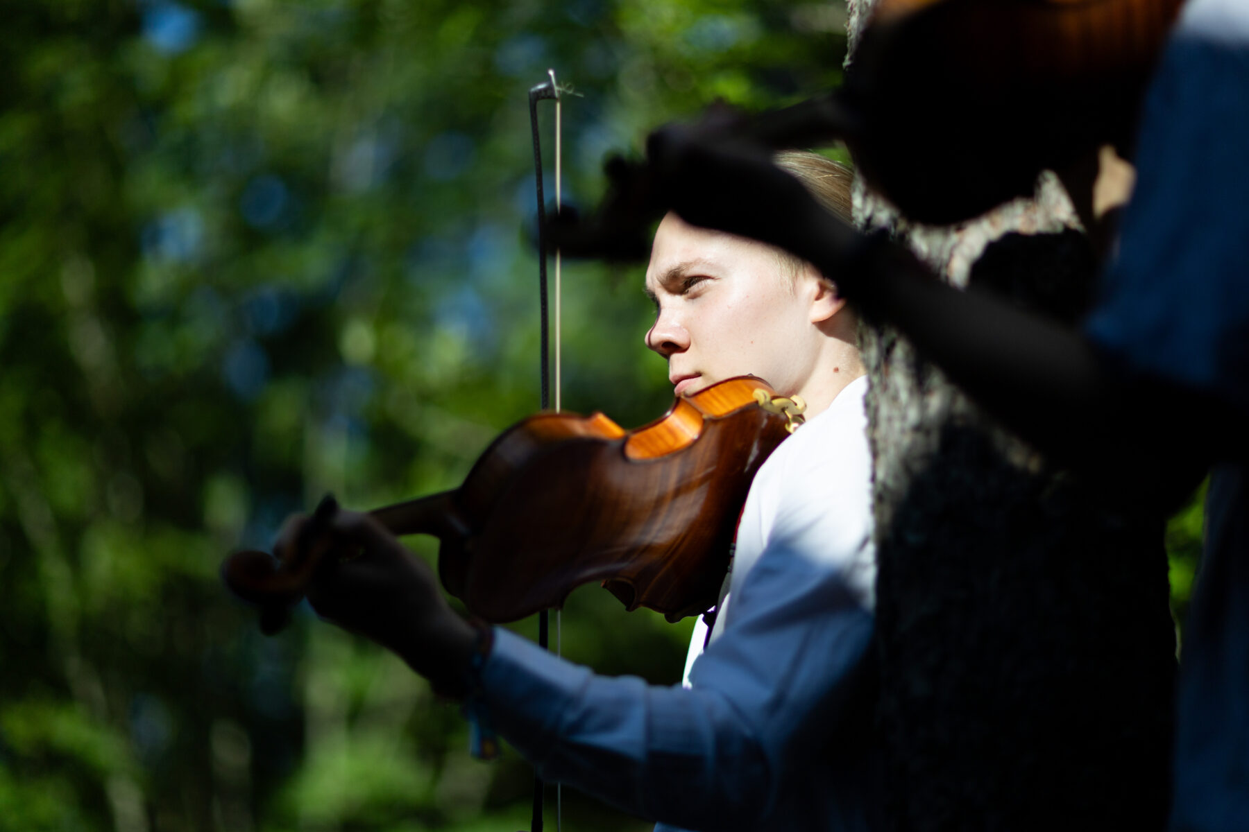 A person in a white shirt plays violin outdoors next to a tree on a sunny day.