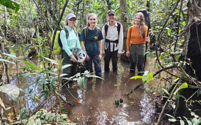 Scientists from Finland make 3D forest models with laser tech