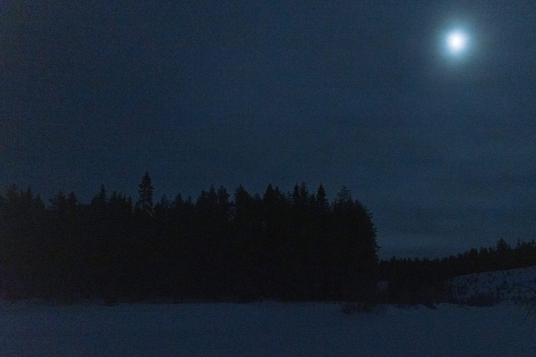 A bright moon shines above a line of trees, casting pale light across a frozen landscape at night.
