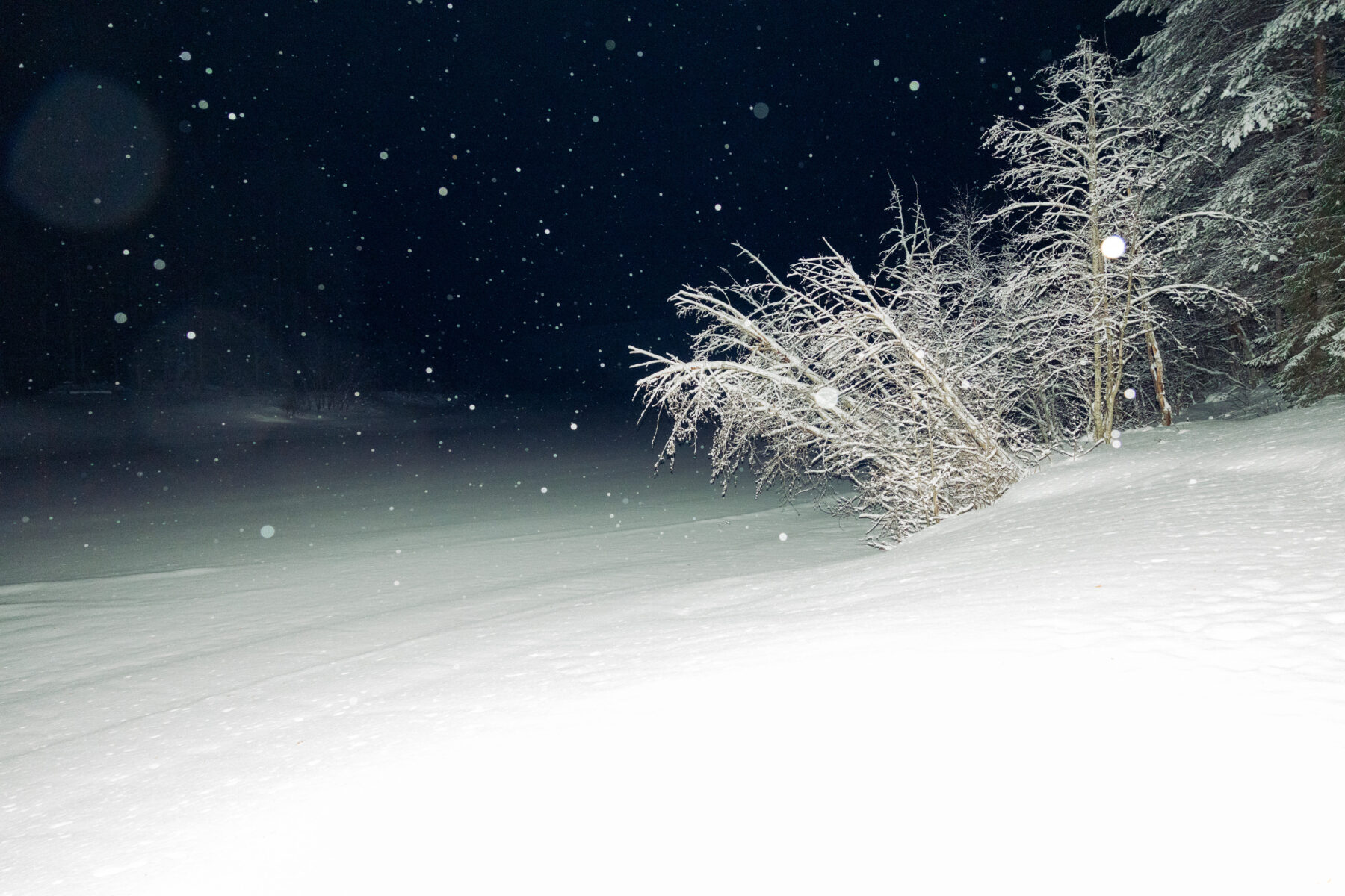 A snow-covered hillside fades into darkness as light snow drifts past icy branches glowing faintly in the night.