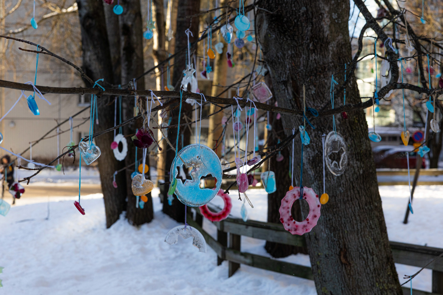 Ornaments made out of ice hang by strings from the branch of a tree, with snow on the ground.