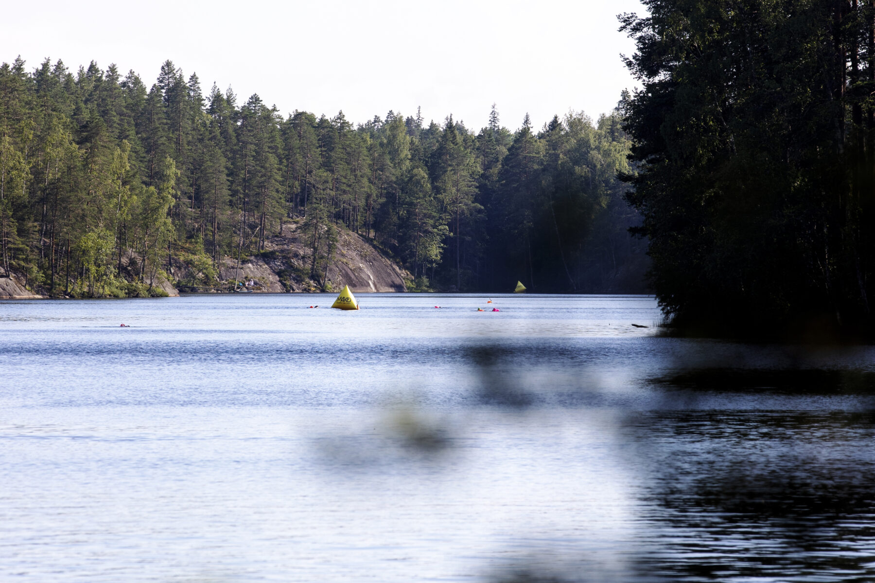A lake with a forest on the shoreline. Swimmers are in the distance.