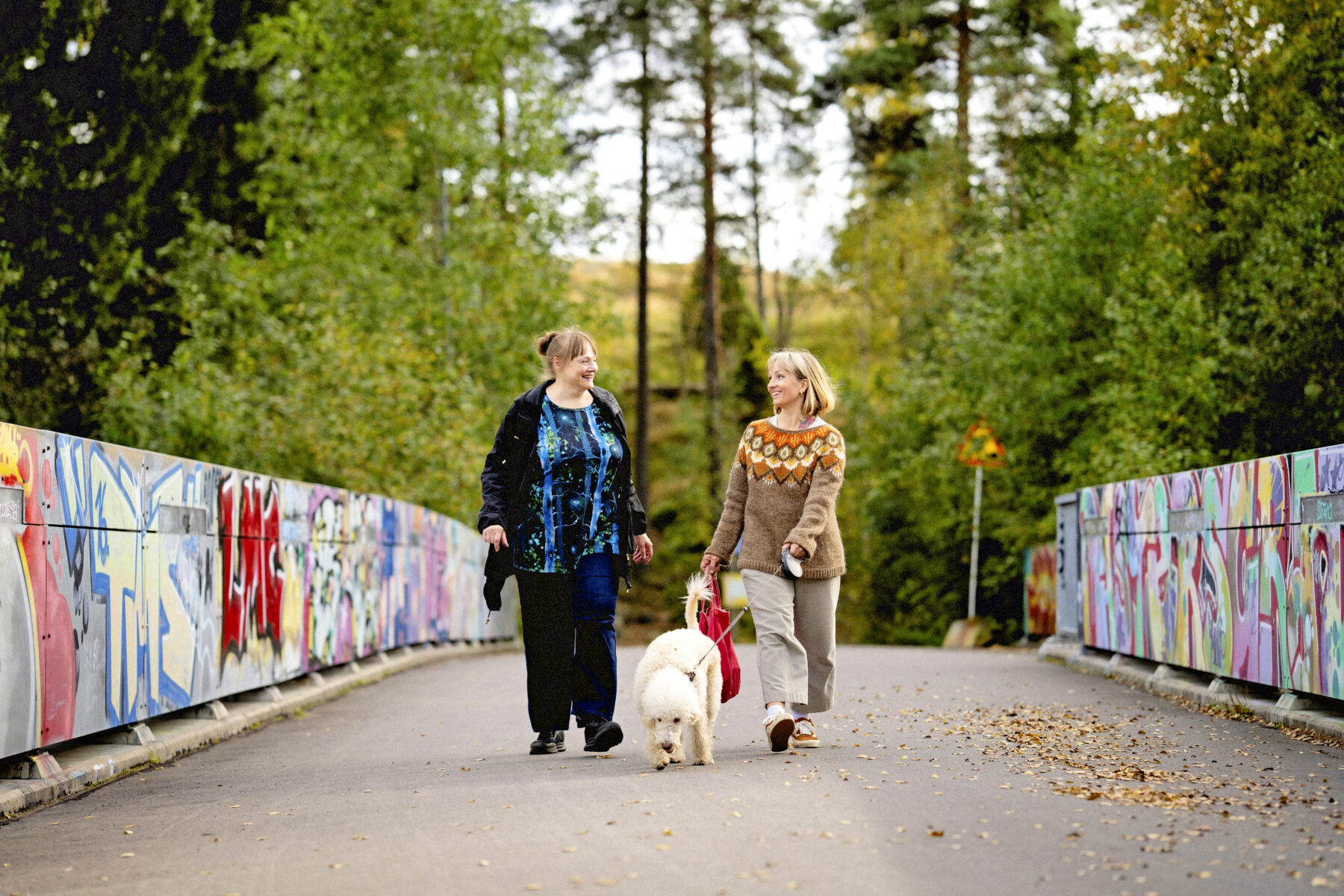 In Helsinki, Finland, with a forest visible in the background, two women and a dog walk across a bridge whose guardrails are covered with graffiti art.