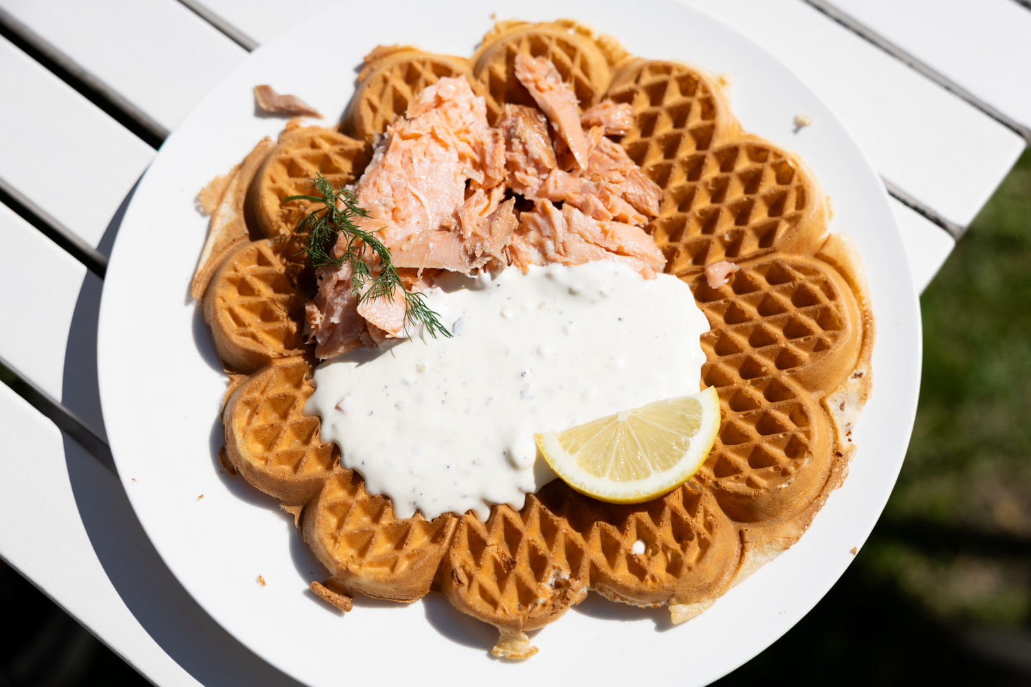 A plate of heart-shaped waffles sits in bright sunlight, topped with smoked salmon, a creamy sauce and a lemon wedge.