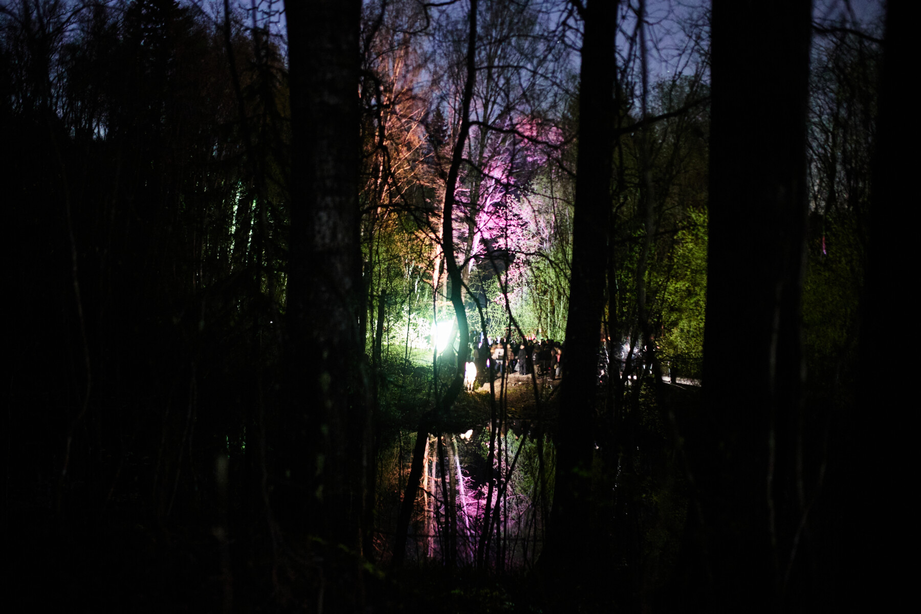 Luzes coloridas brilham em uma densa floresta ao lado de um pequeno lago, onde pessoas participam de uma rave noturna ao ar livre em Helsinque.