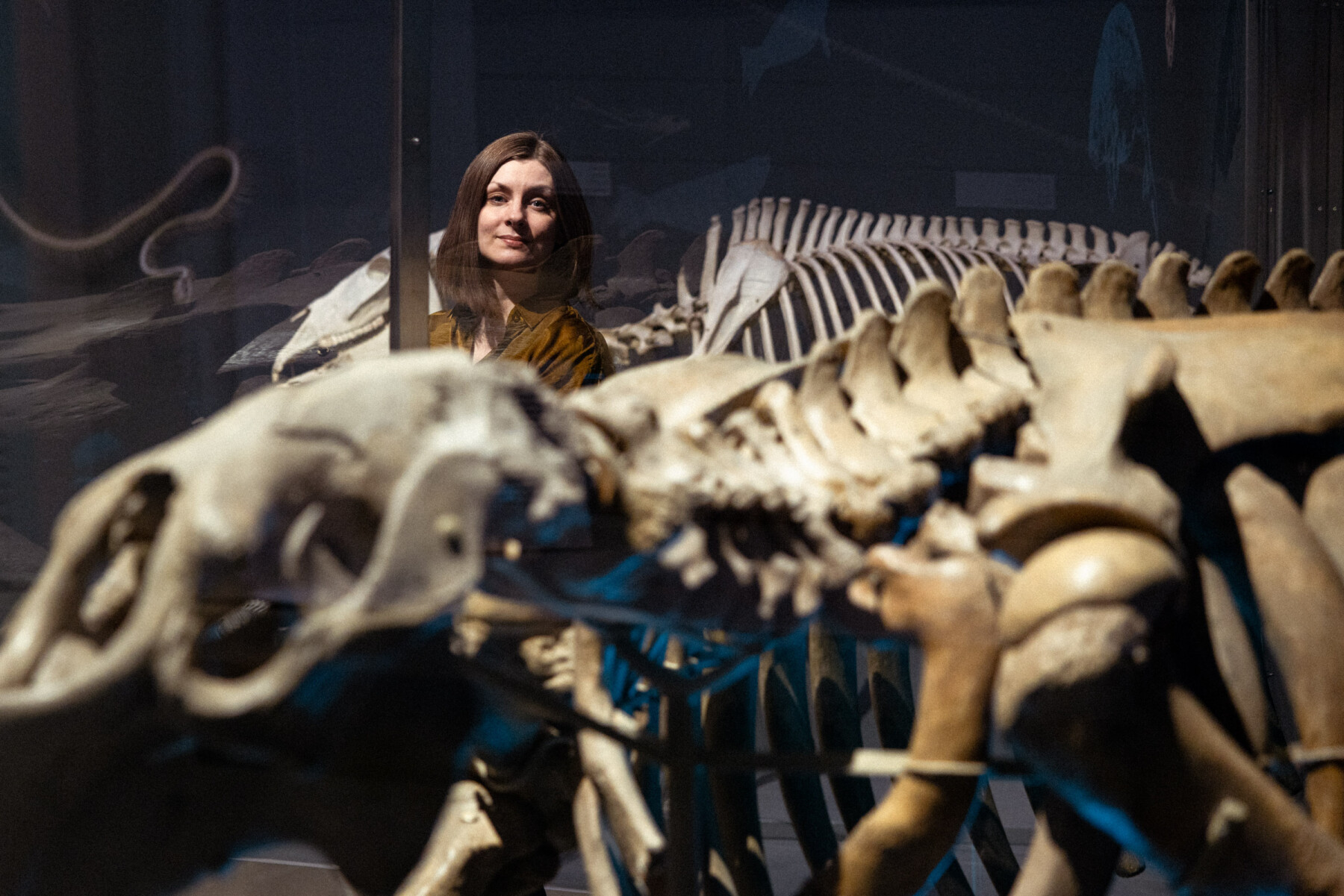 Author Iida Turpeinen stands behind the skeleton of a Steller’s sea cow at the Finnish Museum of Natural History.