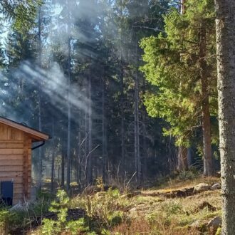Rauch steigt aus einer Rauchsauna in einem sonnigen Wald auf.