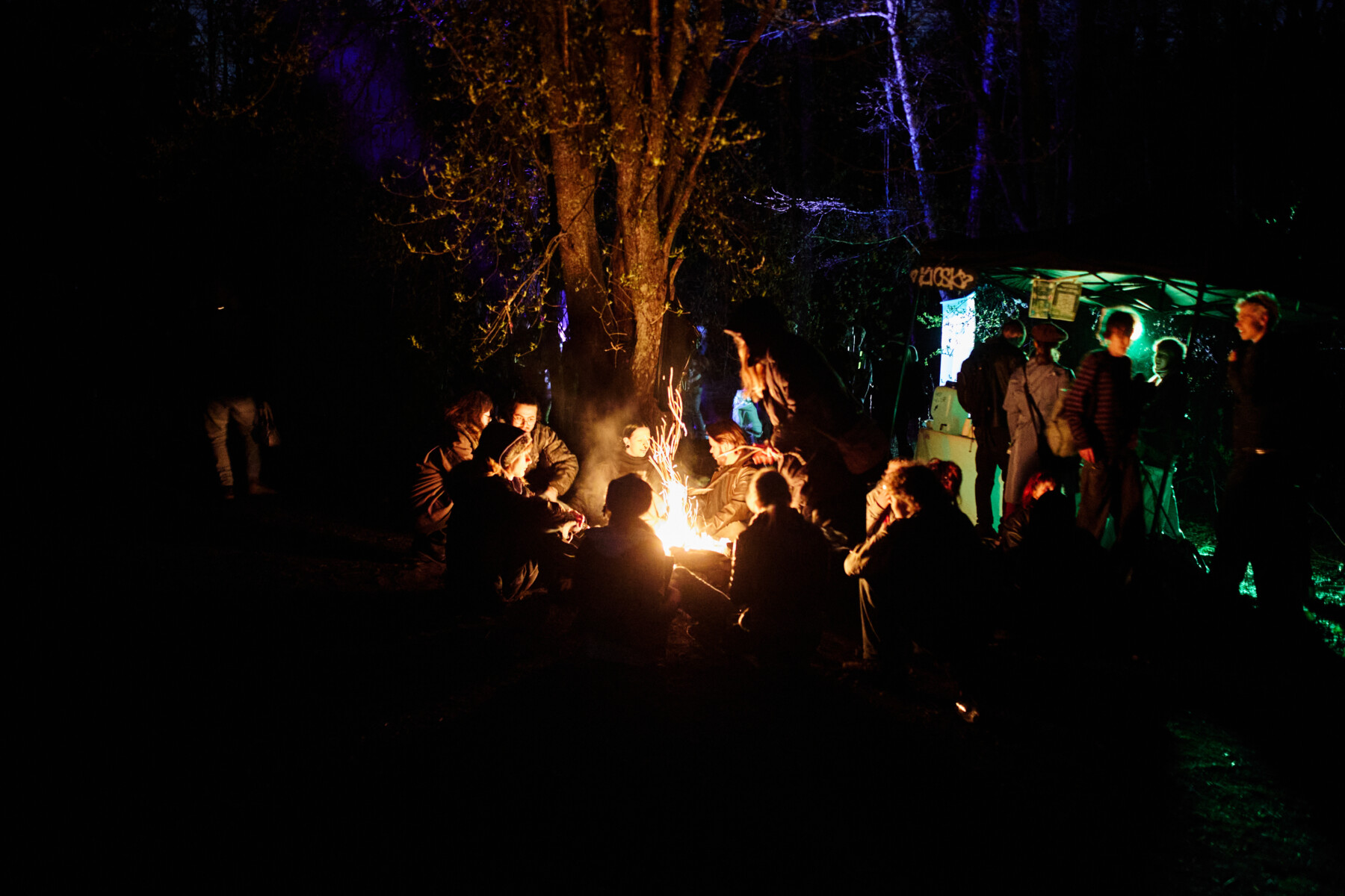 Participantes sentados e de pé ao redor de uma fogueira, em uma clareira na floresta durante a noite, iluminados por chamas alaranjadas, com luzes azuis e verdes vindas de uma estrutura musical próxima.