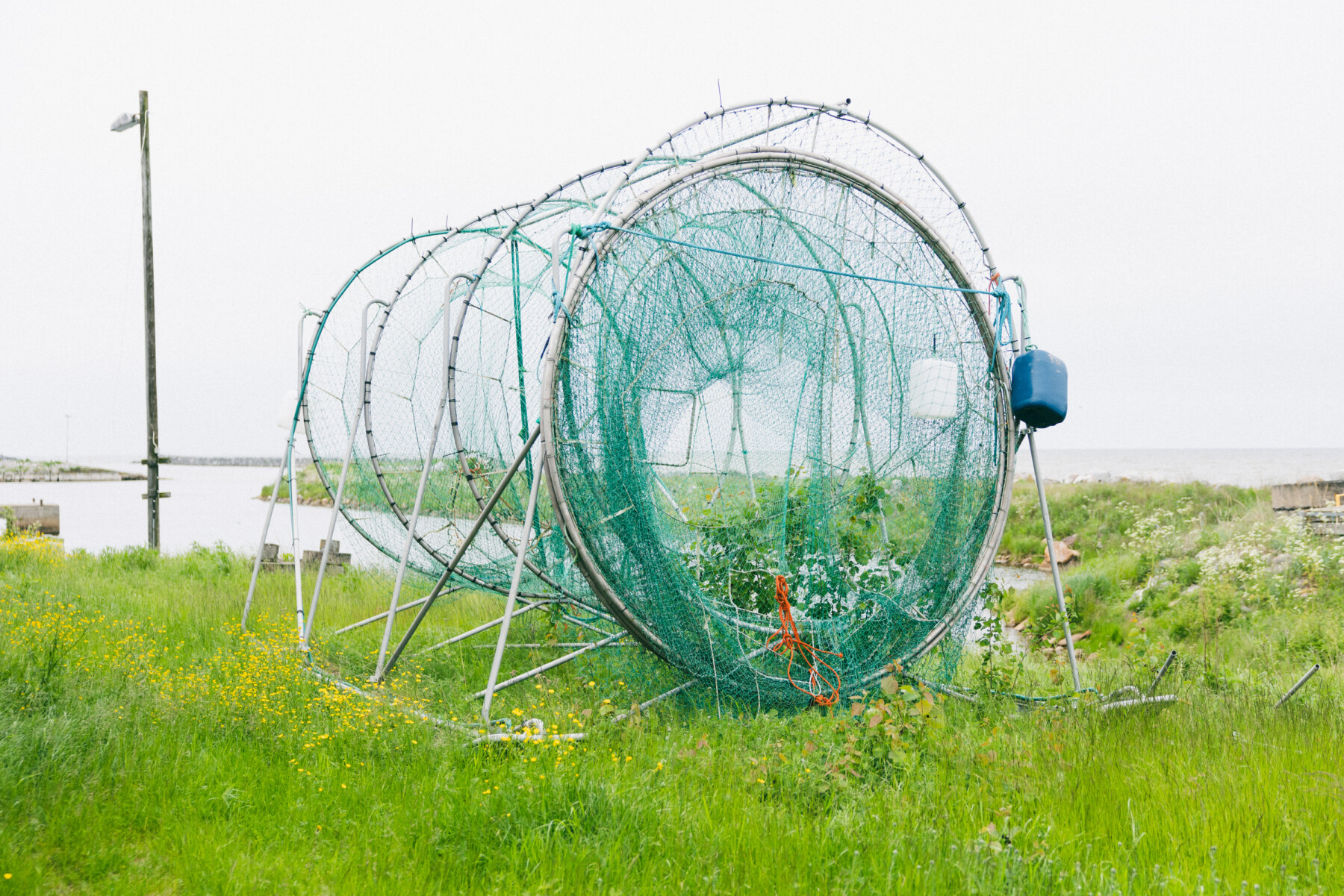 A set of green fishing nets draped on circular metal frames stands beside the coast in Hailuoto, with grass, water and a cloudy sky surrounding the structure.