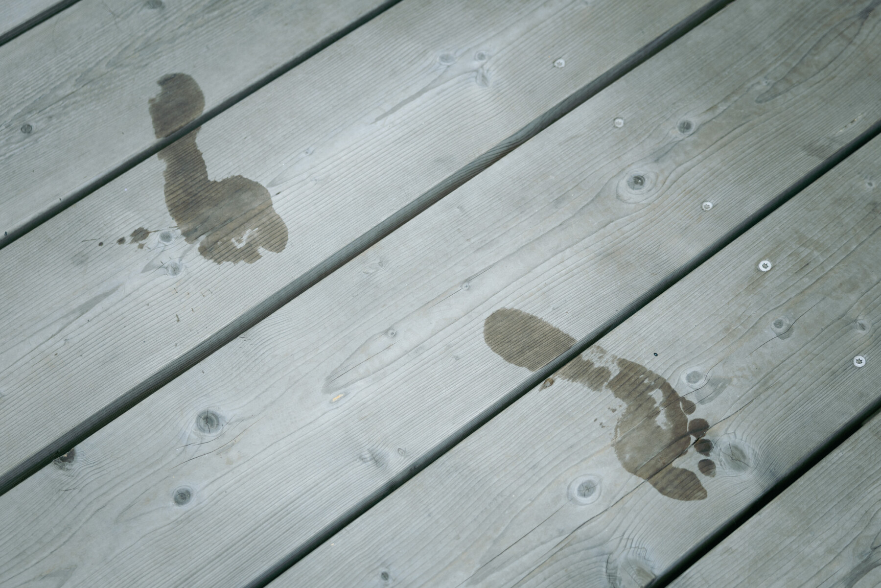 Two wet footprints are visible on pale wooden decking.