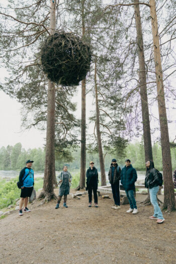 Visitors stand beneath a large sphere of intertwined branches suspended between pine trees at Koitelinkoski as part of Antti Laitinen’s You Are Here installation.