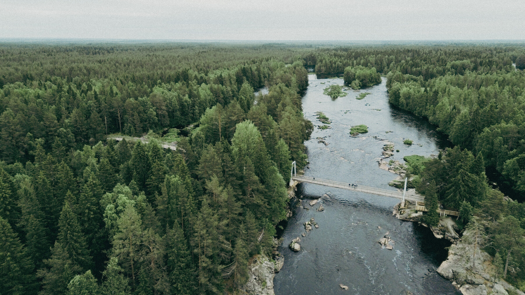 An aerial view shows the Kiiminki River flowing through Koitelinkoski, where a suspension bridge crosses between dense forest.