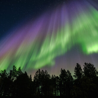 Bands of purple, pink and green light stretch across the dark sky above silhouetted trees in Sevettijärvi, northern Finland.